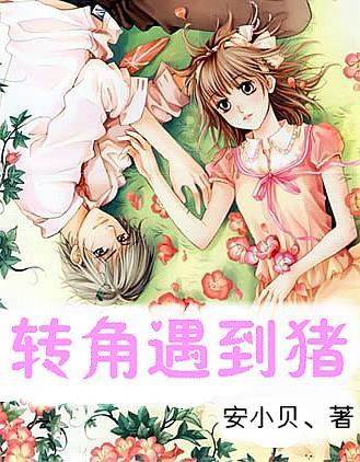 【同心聚合力·奋楫新征程】杨信:共奏民族团结乐章,同绘宗教和顺画卷