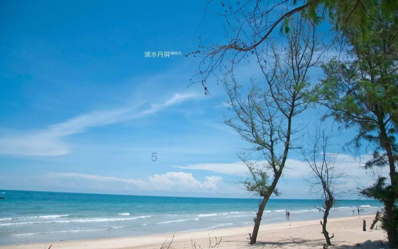 逗小猴开心系列206