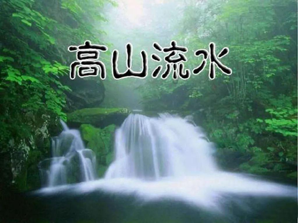 黄河湿地 别样冬韵【组图】